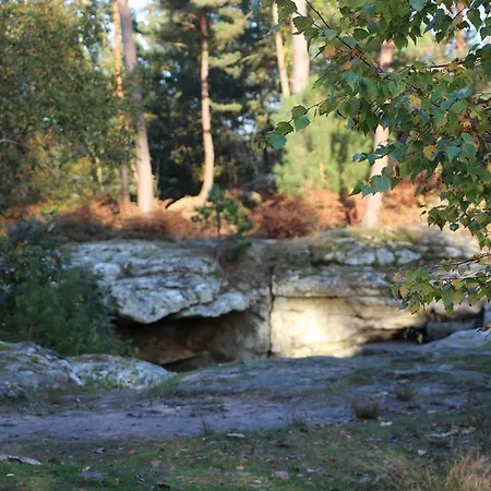 Bed & Breakfast L'alisier Chantant Bourron-Marlotte