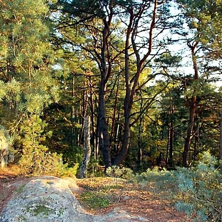 L'alisier Chantant فندق مبيت وإفطار Bourron-Marlotte