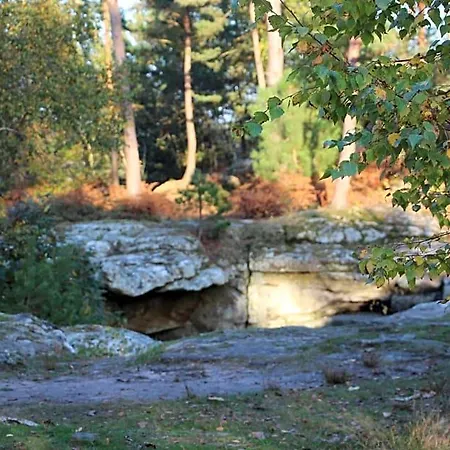 Oda ve Kahvaltı L'alisier Chantant