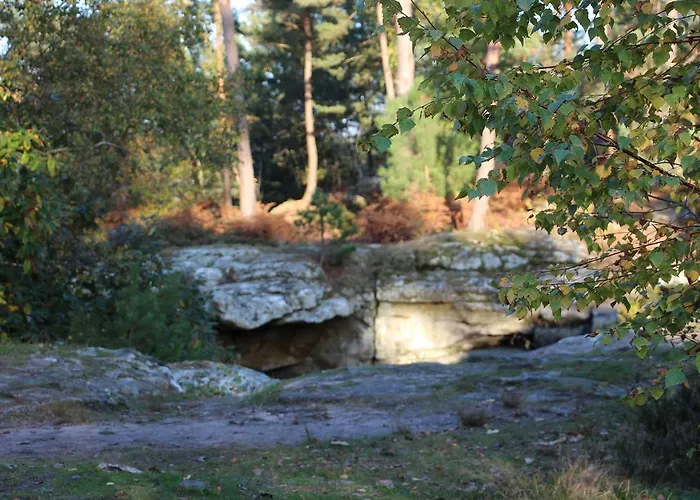 Bed & Breakfast L'alisier Chantant Bourron-Marlotte